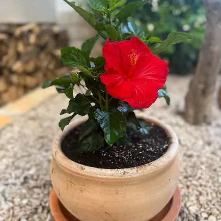 Lejlighed By The Sea - 23714 *