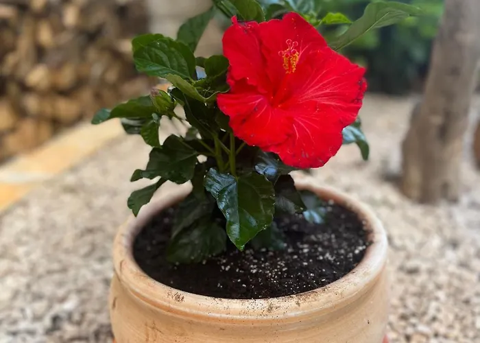 Appartement By The Sea - 23714 *